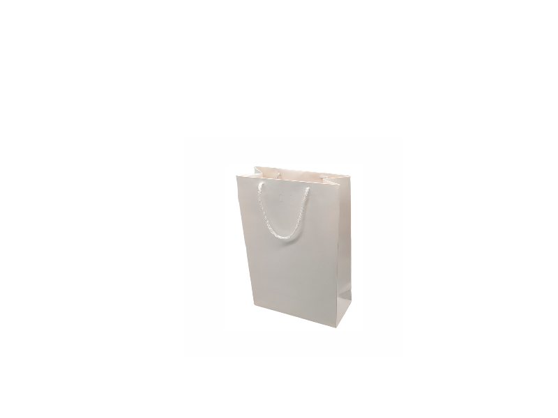 SACOLA SOTILLE 225G CVP25 25.21.10 A X L X B  ( SEM IMPRESSÃO )