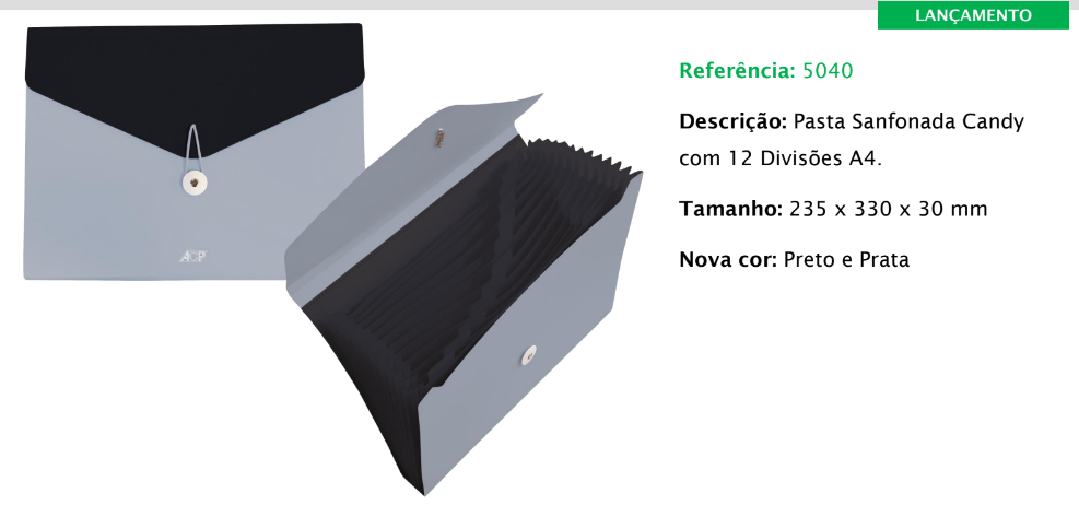 PASTA SANFONA CANDY COM 12 DIV A4 PRETO E PRATA