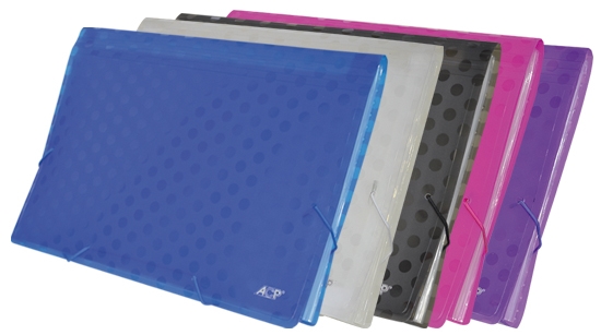 Pasta Sanfona A4 POA 12 divisões  VD